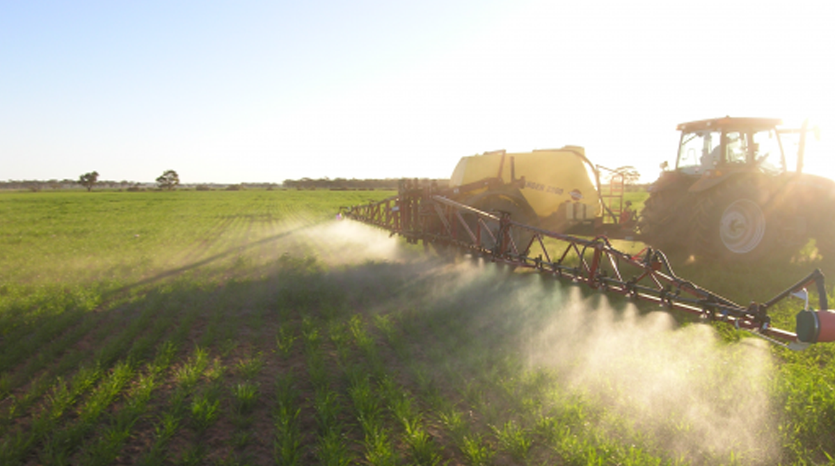 Weed Control With Chemical Herbicides
